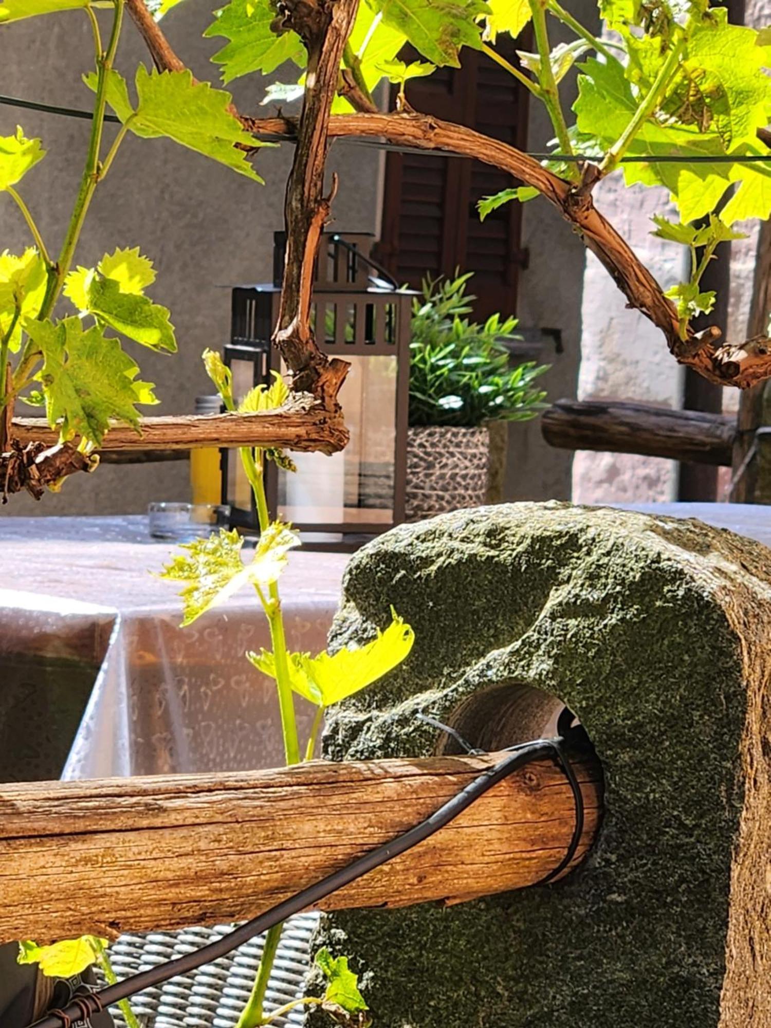 B&B Osteria Morganti Someo Экстерьер фото